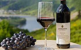 Ein Glas Rotwein und eine Flasche neben frischen Trauben, mit Landschaft im Hintergrund.