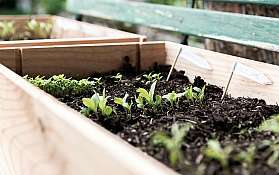 andre lergier vcIW3PTXSAY unsplash