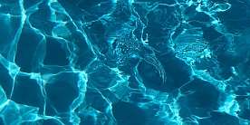 artem militonian UYW6FZLlnL8 unsplash(1)