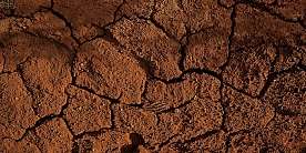 clay banks EdscD R28bM unsplash