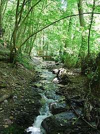 traumschleife elfenlay 047 kl